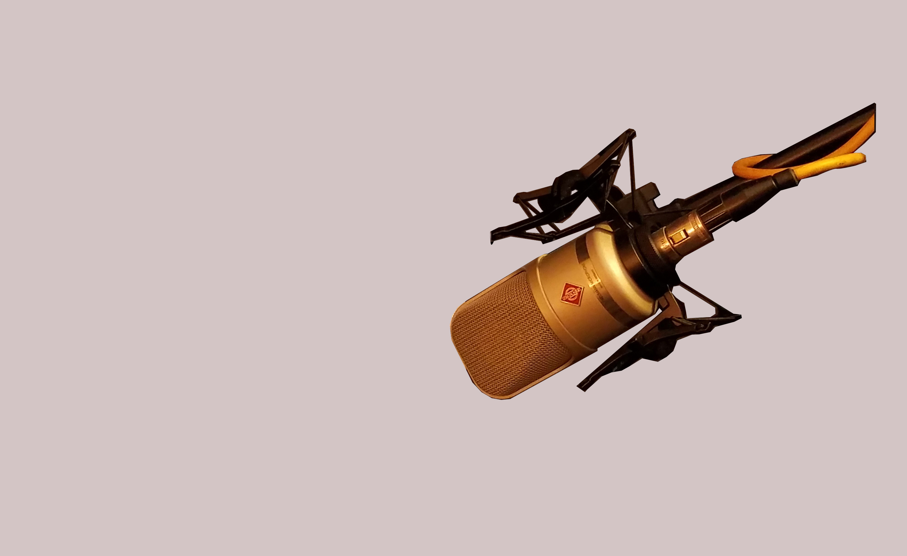 Mic1 only Mic1 only